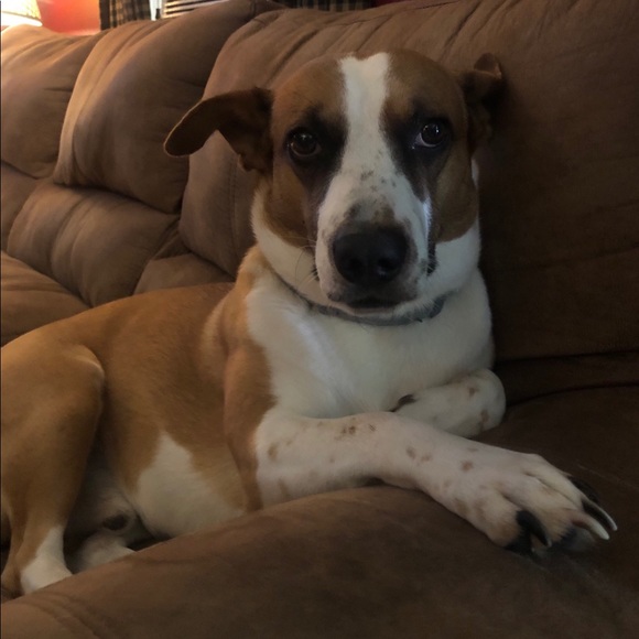 PRICELESS - Picture 5 of 7